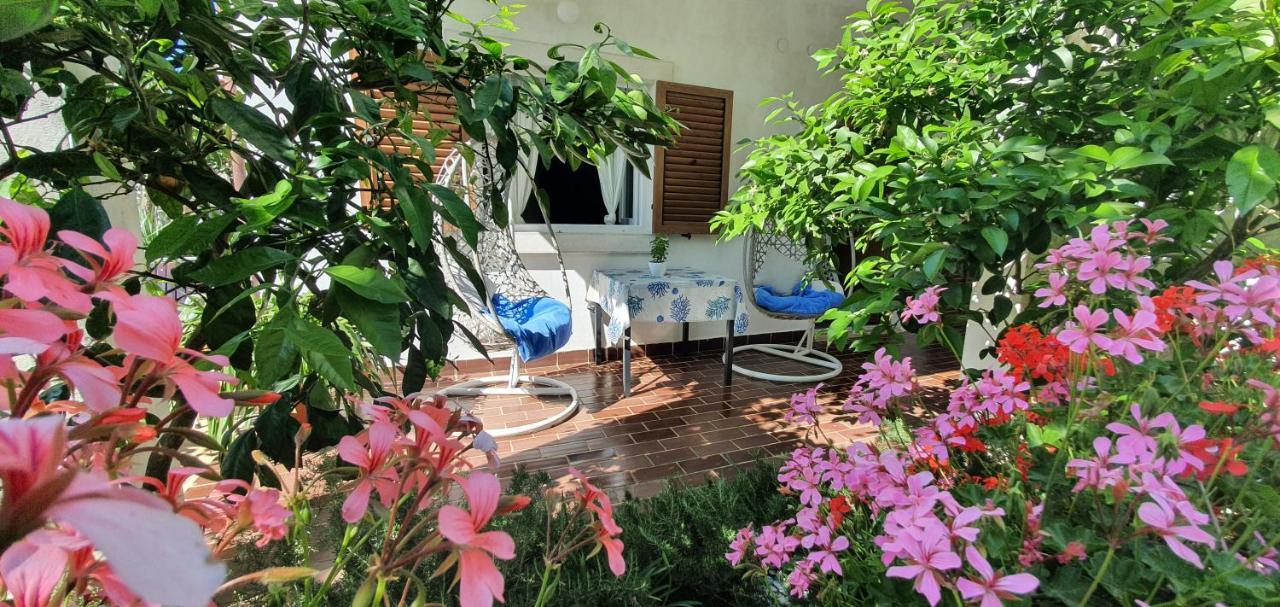 Appartement New!!! New Riva Luxury One - With Sunny Terrace & Big Garden à Poreč Extérieur photo