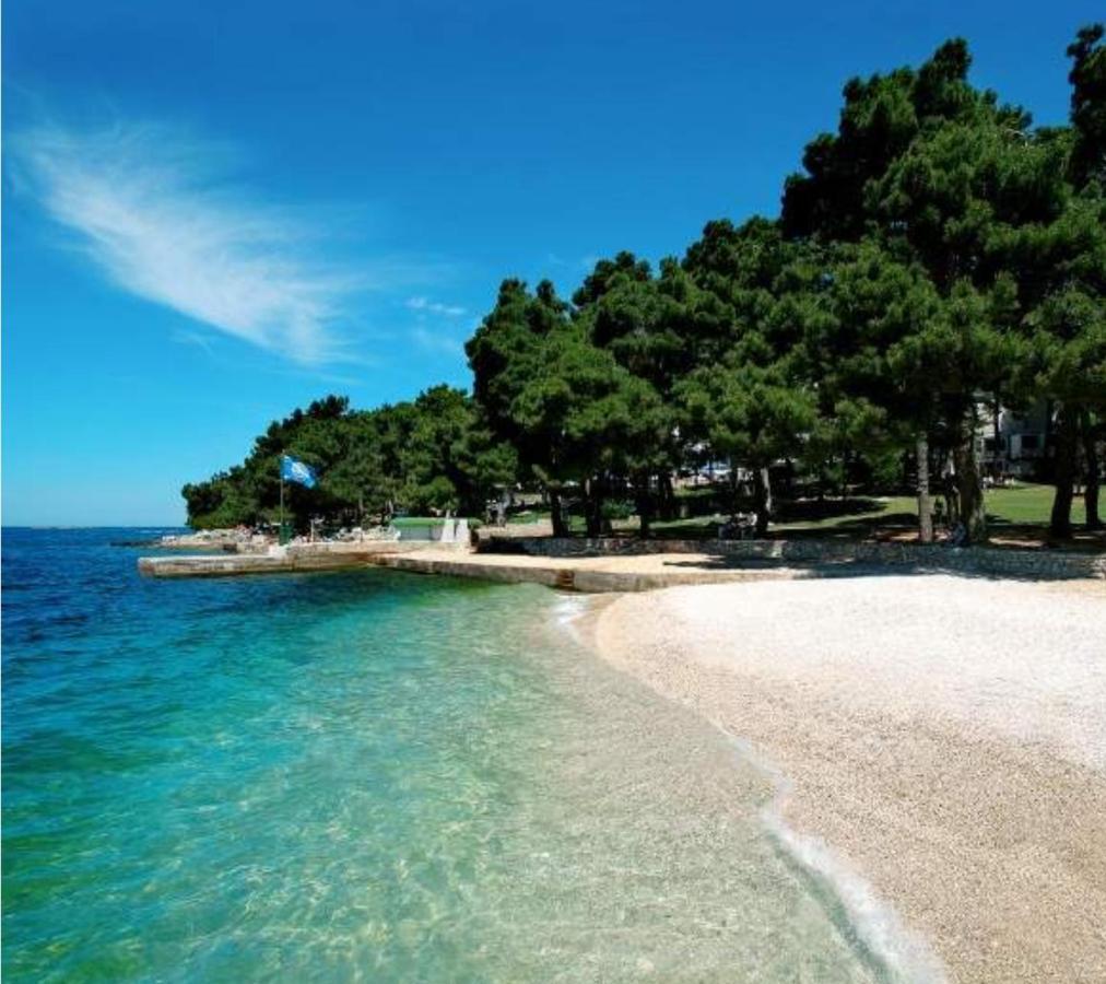 Appartement New!!! New Riva Luxury One - With Sunny Terrace & Big Garden à Poreč Extérieur photo